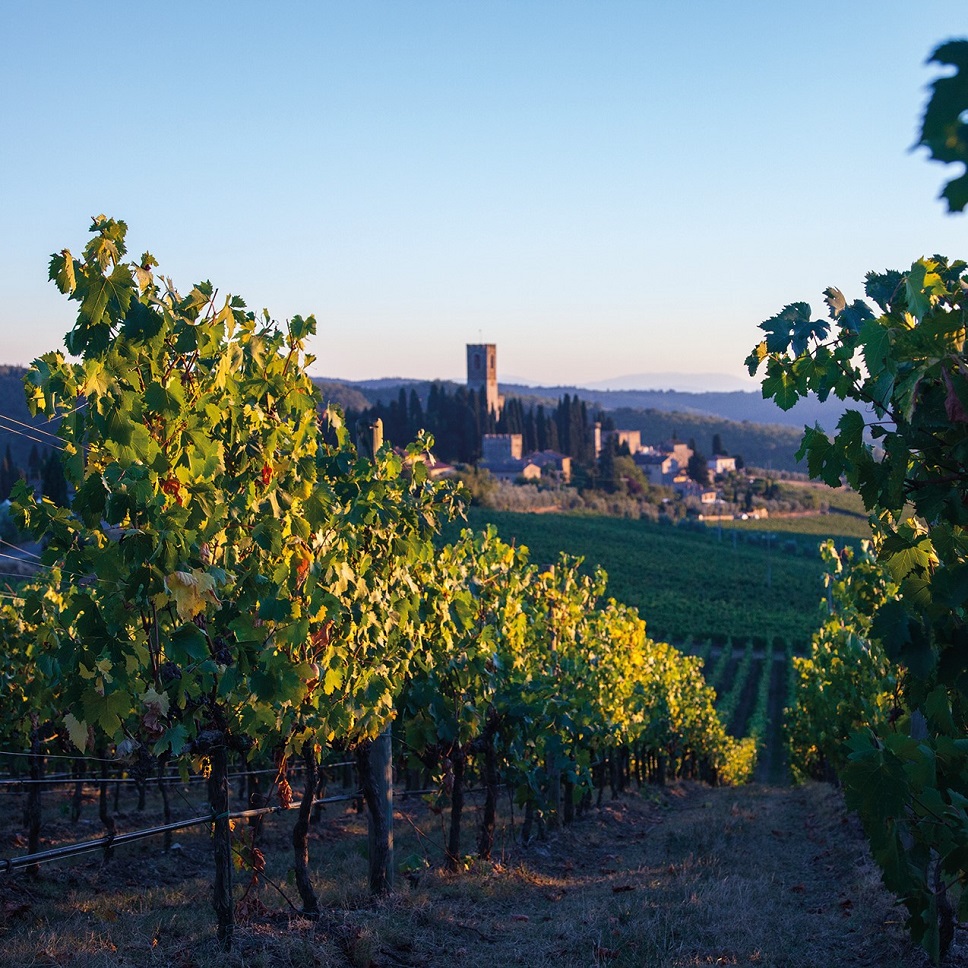 Antinori Badia a Passignano Antinori Badia a Passignano