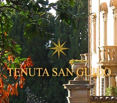 Tenuta San Guido