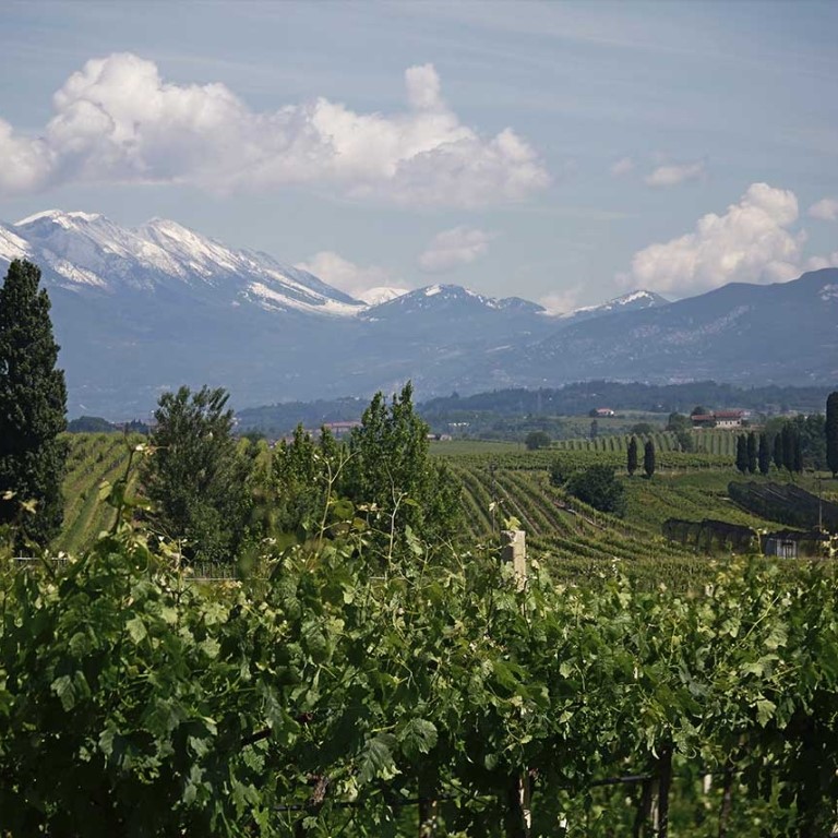 Cantina di Custoza Cantina di Custoza